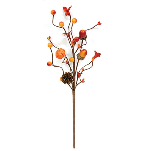 Autumn's Bounty Pick
