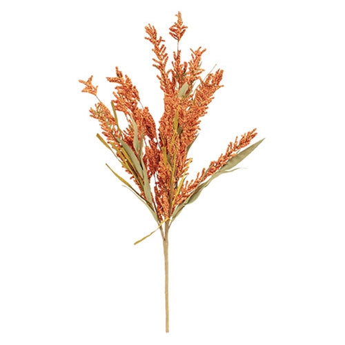 Fall Grass & Heather Bush, Bittersweet