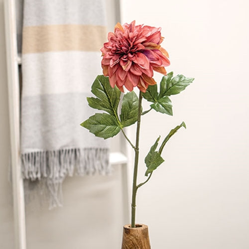 Mauve Dahlia Stem