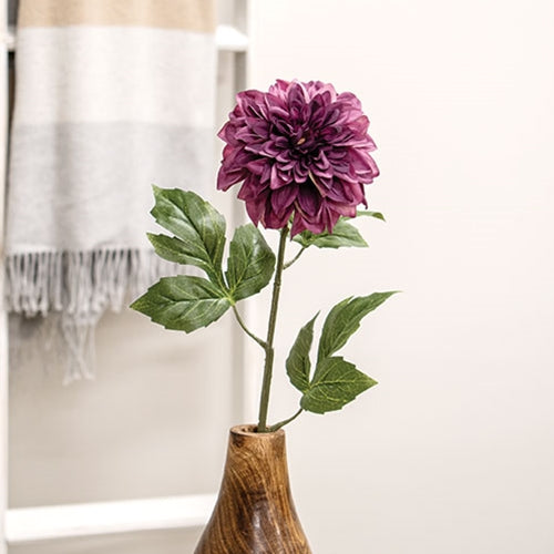 Plum Dahlia Stem