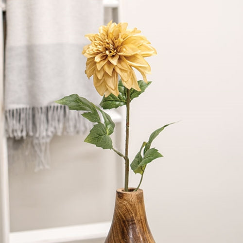 Teastain Dahlia Stem