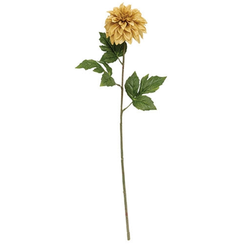 Teastain Dahlia Stem