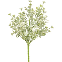 White Star Lavender Buds Bush, 12"
