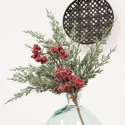 Graceful Cedar Berry Bush, 19"