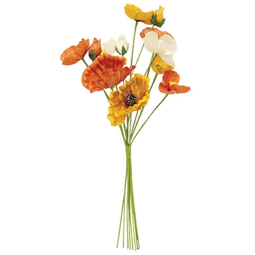 Orange, Cream & Yellow Poppy Bush