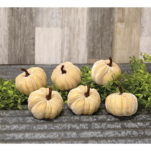 Mini Velvet Pumpkins