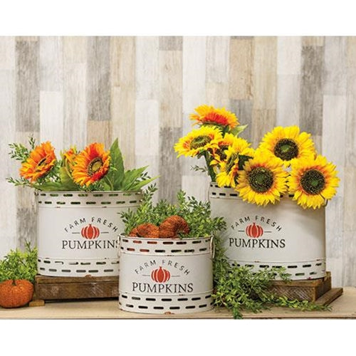 Farm Fresh Pumpkin Oval Bucket