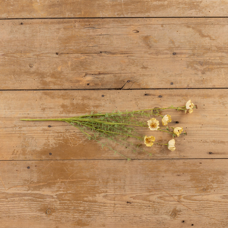 22" YELLOW WILDFLOWER SPRAY