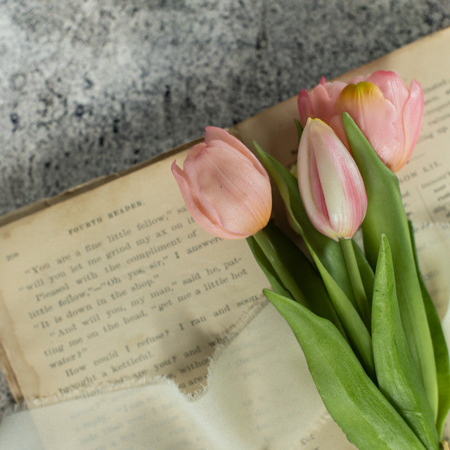 9.5" PALE PINK TULIP BUSH