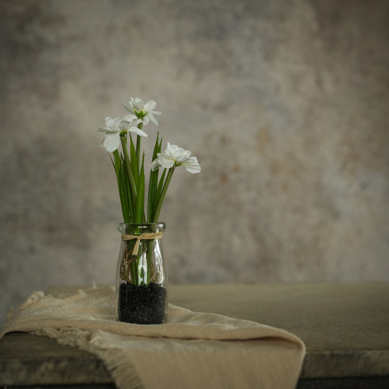 8.25" POTTED WHITE DAISY