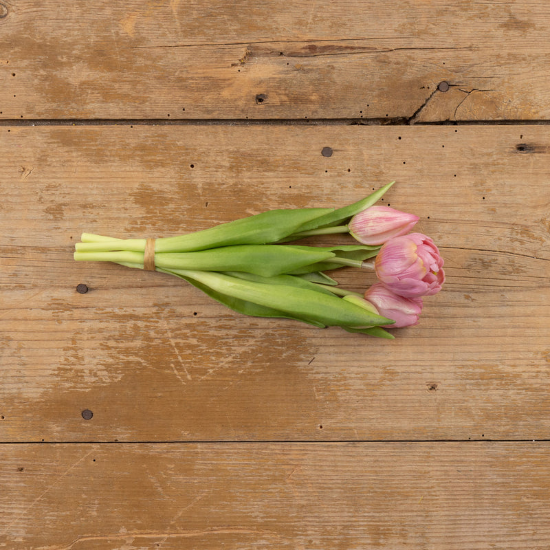 9.5" LIGHT PURPLE TULIP BUSH