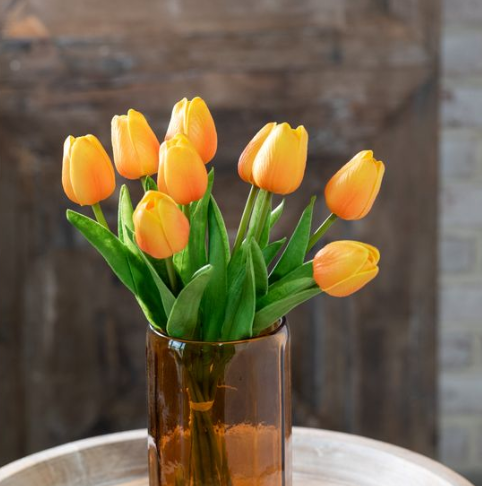 Sunset Orange Tulip Bunch