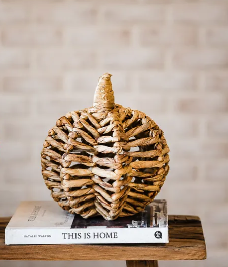 Water Hyacinth Pumpkin