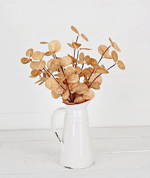 Fall Silver Dollar Eucalyptus Bush