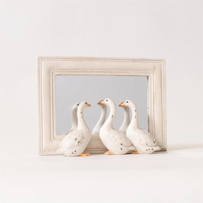 Geese Peeking Mirror