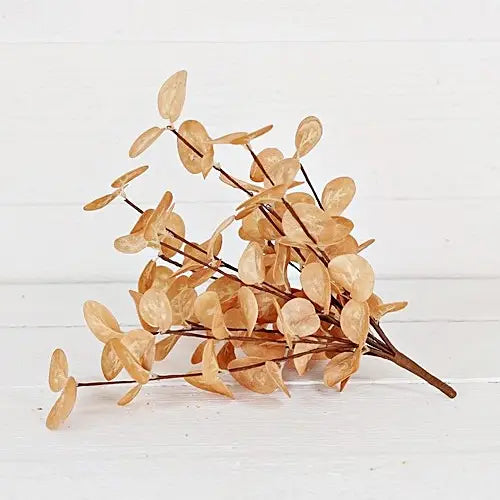 Fall Silver Dollar Eucalyptus Bush