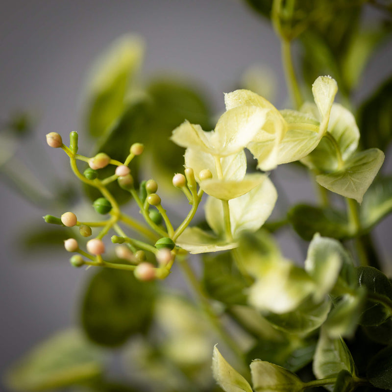 Eucalyptus / Mint Leaf Spray