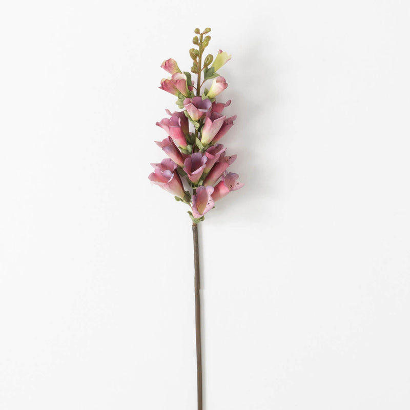 Foxglove Stem