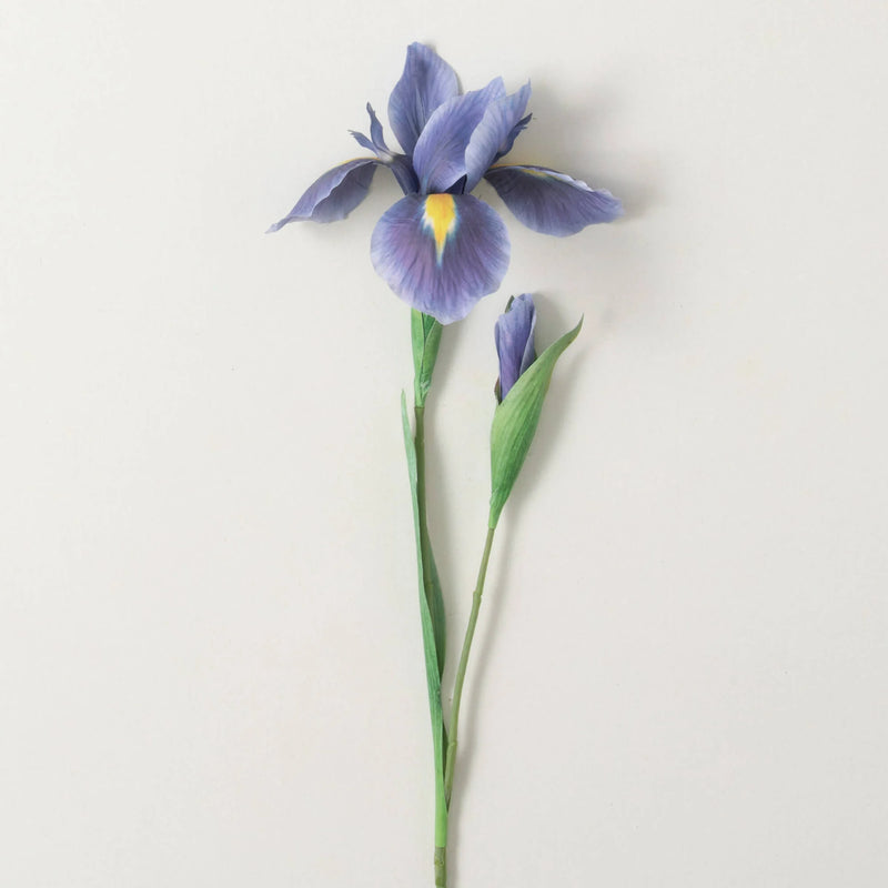 Iris Spray