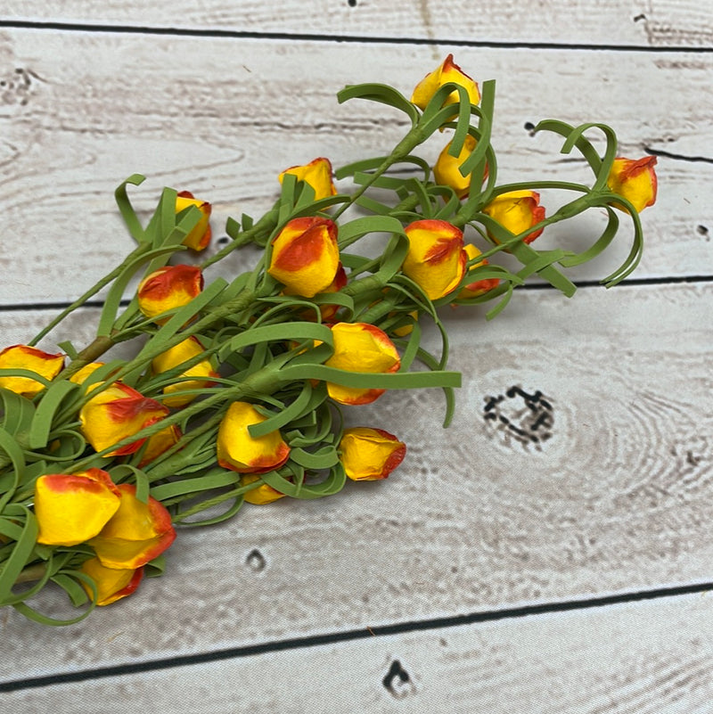 Floral Stem
