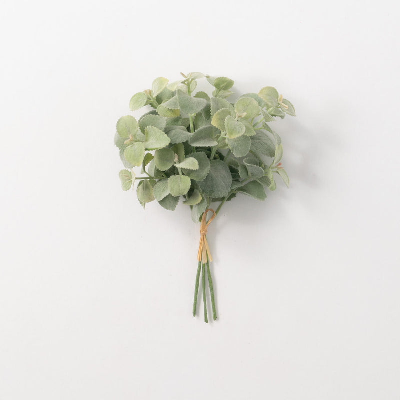 Basil Bundle