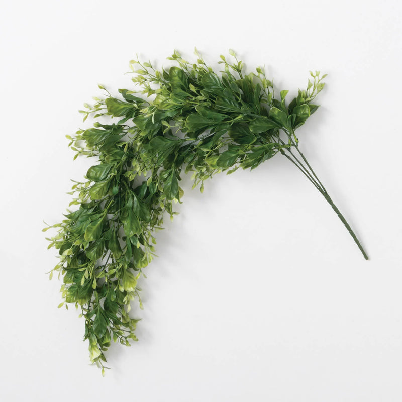 Hanging Mixed Foliage Bush