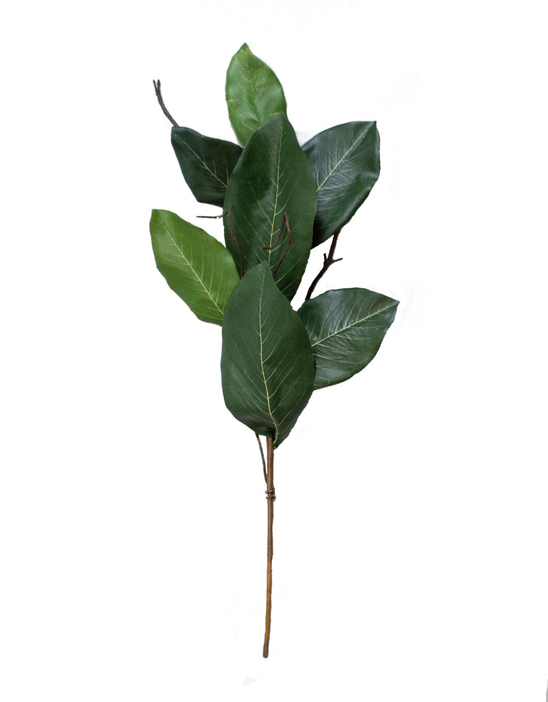 22" Mountain Magnolia Leaf Spray