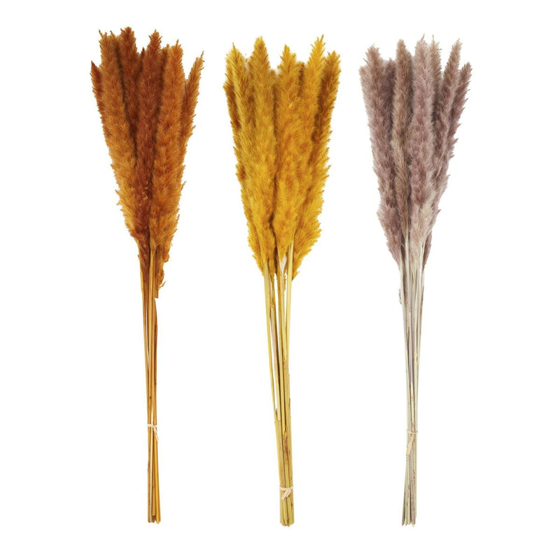 Preserved Pampas Grass Stem