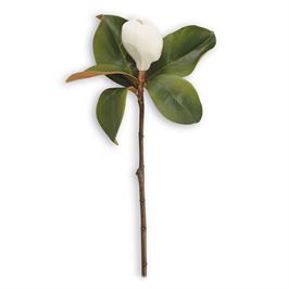 Magnolia Blossom Stem