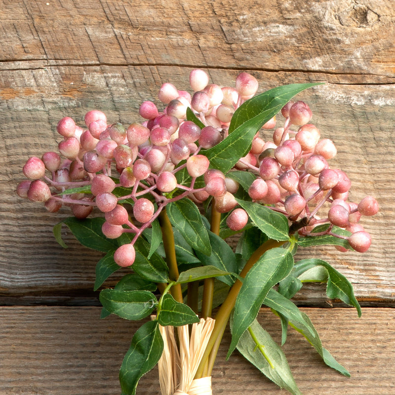 Blush Berry Bundle, Maroon