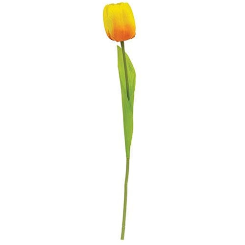 15.5" Sunrise Tulip Stem