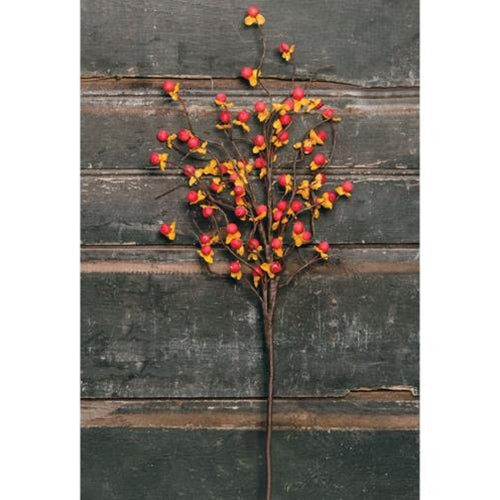 18" Bittersweet Spray