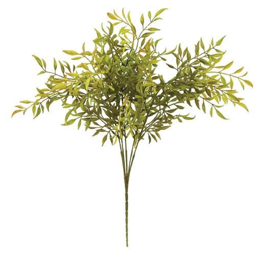 Smilax Bush