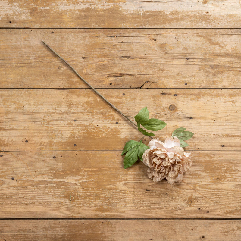 27" BEIGE & PINK PEONY STEM