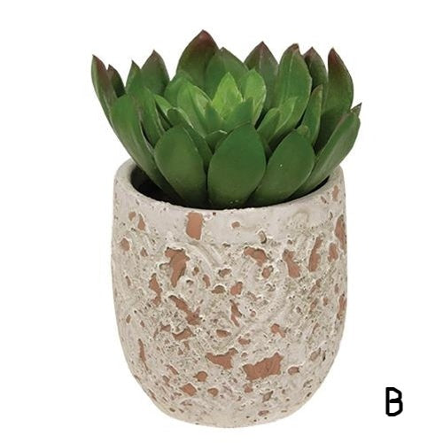 Artificial Succulent in Distressed Cement Pot