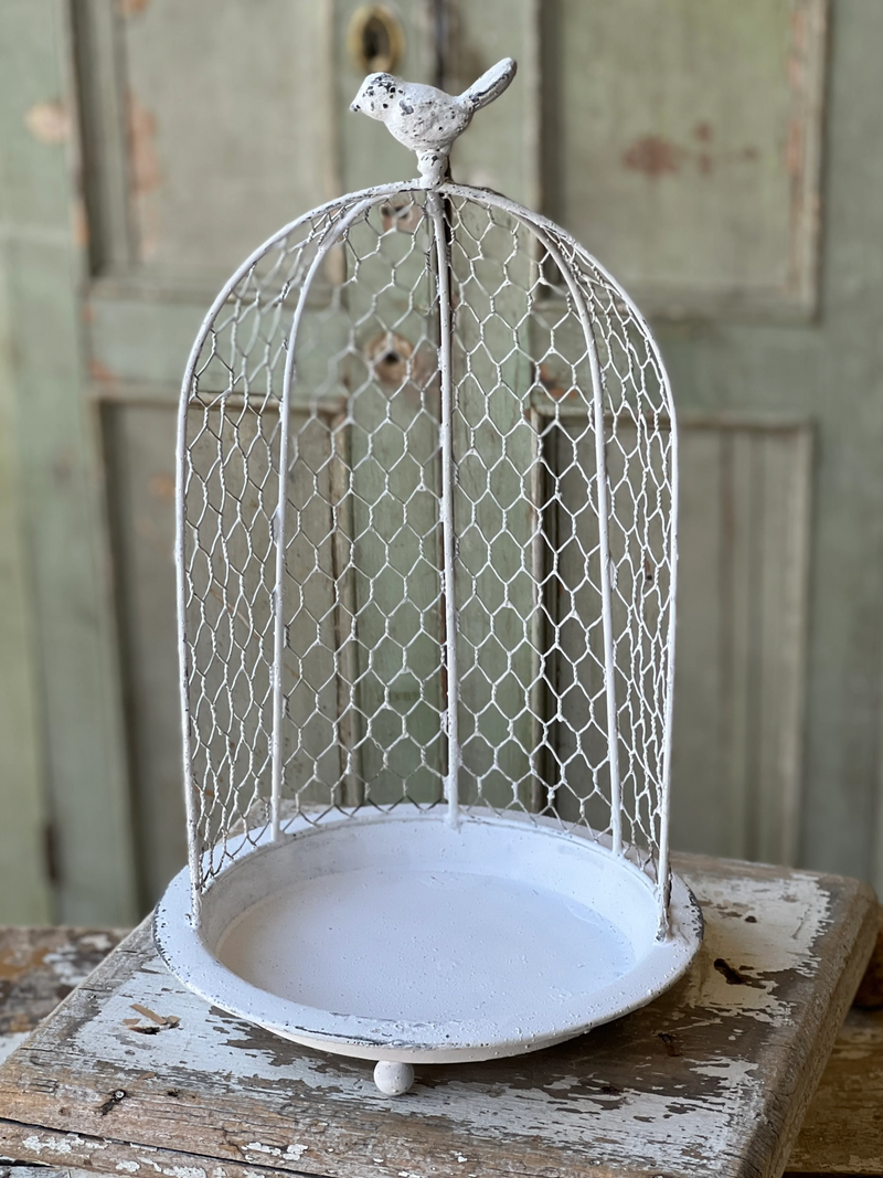 Open Wire Cloche