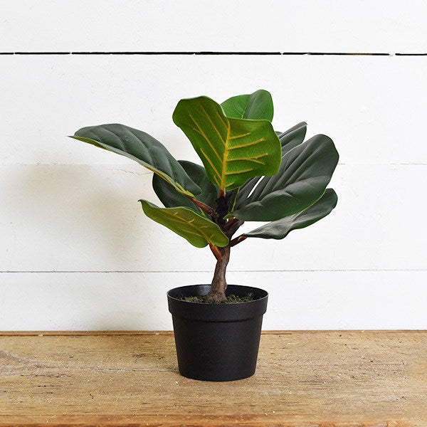 Faux Fiddle Leaf Tree