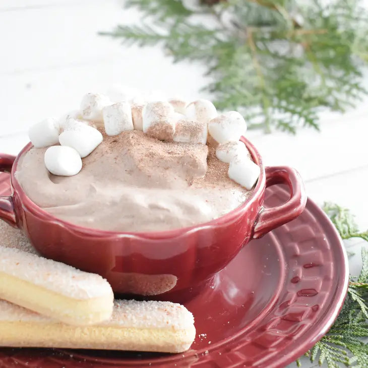 Hot Cocoa Dip Mix