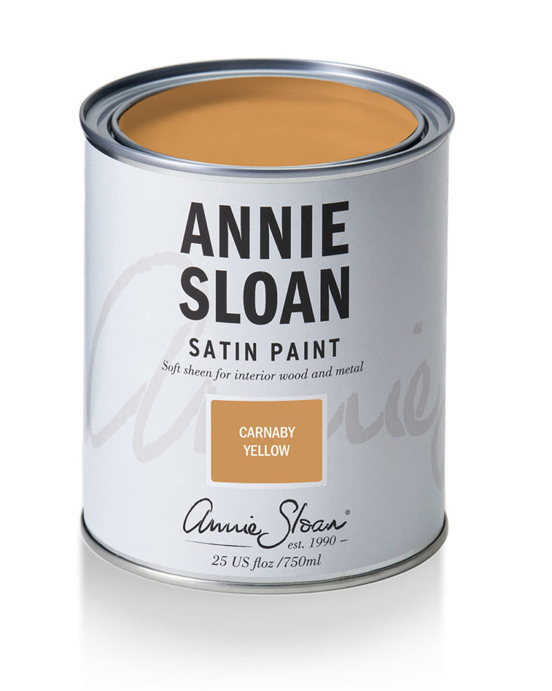 Annie Sloan® Satin Paint