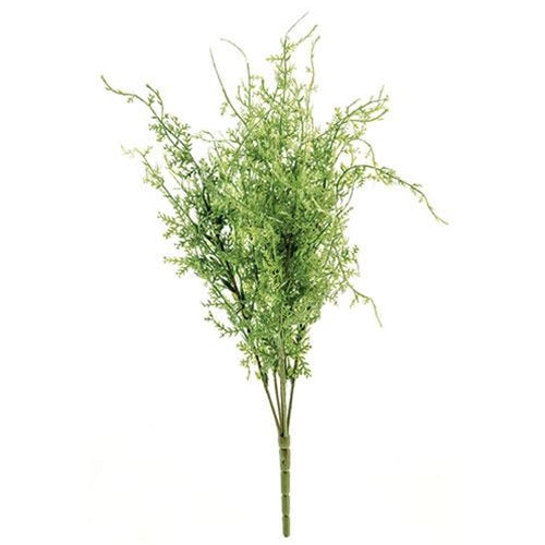 Fine Grass Bush
