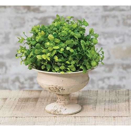 6 1/2" Maidenhair Fern Half Sphere