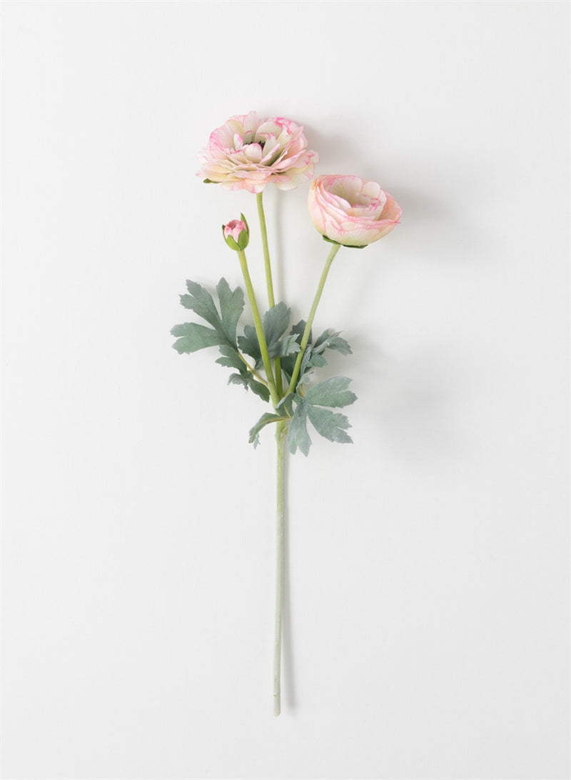 Real Garden Ranunculus Stem