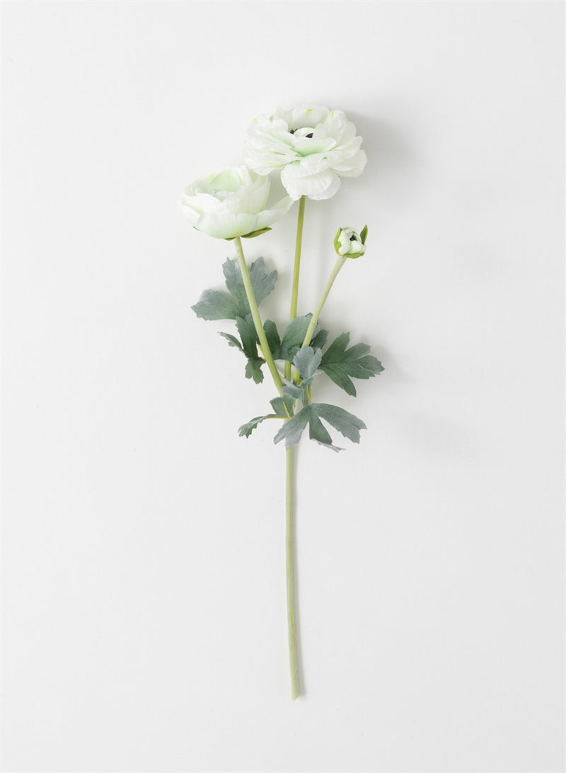 Real Garden Ranunculus Stem