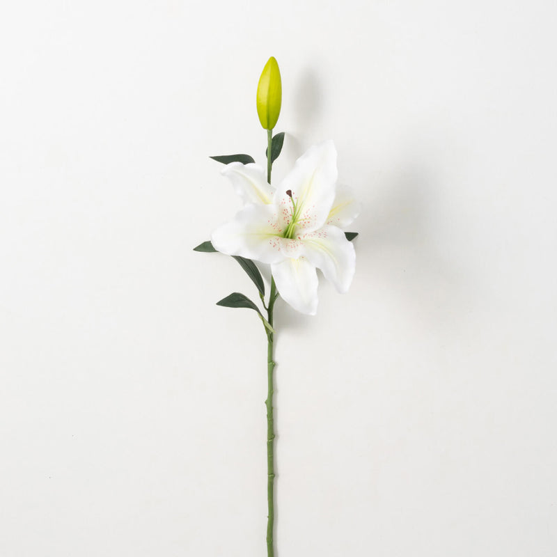 CASABLANCA LILY STEM