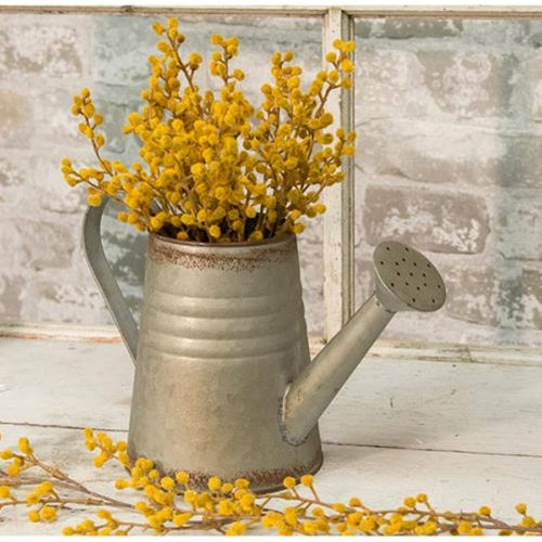 Vintage Inspired Galvanized Watering Can