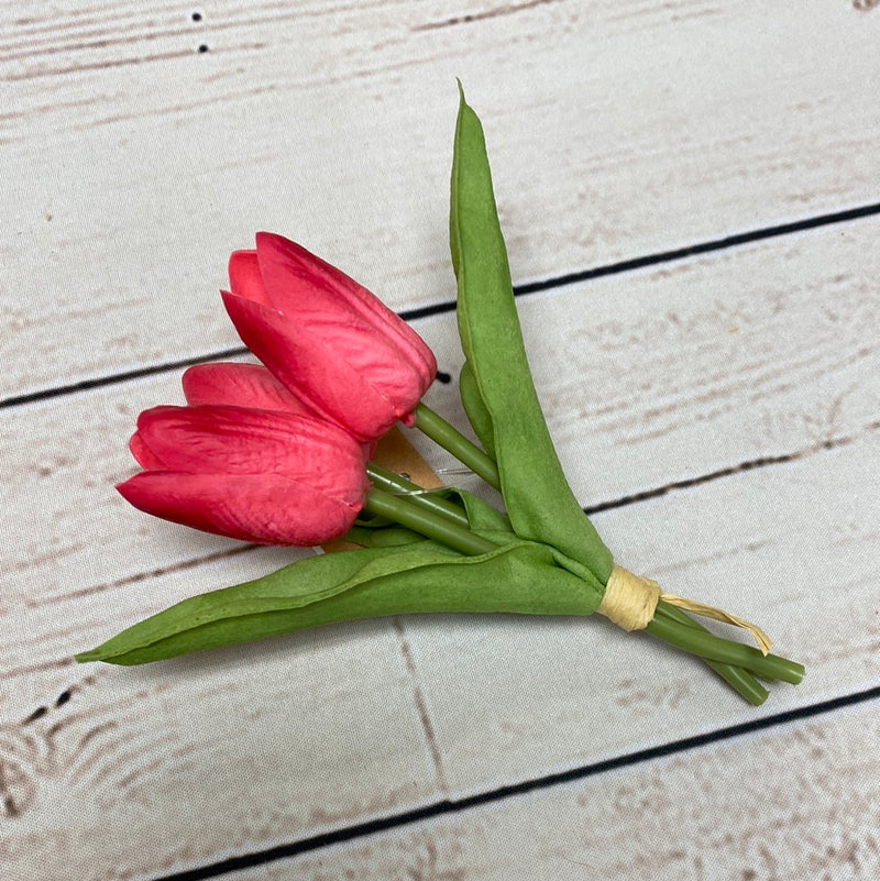 Mini Tulip Cluster