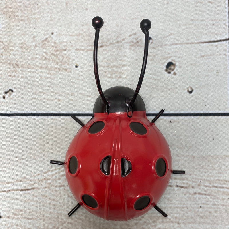 Metal Ladybug