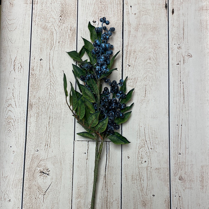 Blueberry Pick