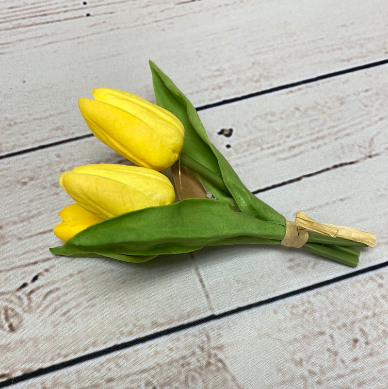 Mini Tulip Cluster