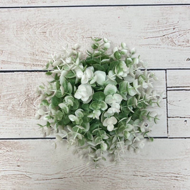 8" Boxwood Half Ball